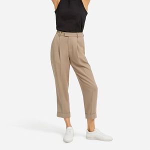Everlane The Put-Together Pleat Pant in Clay